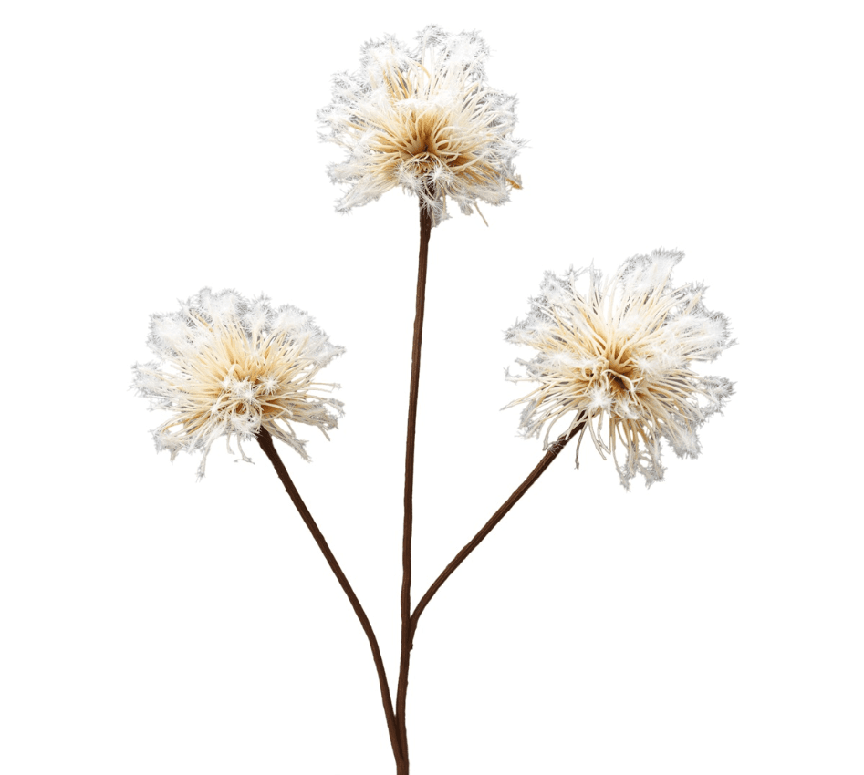 Paardenbloem 75 cm - creme - 1